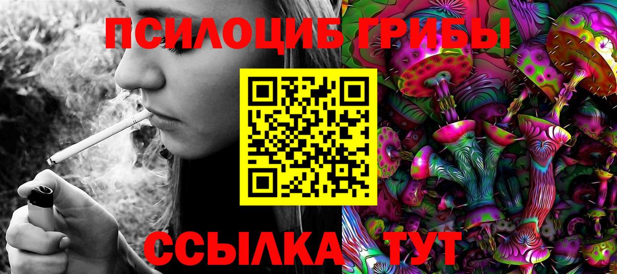 Галлюциногенные грибы прущие грибы  Галлюциногенные грибы прущие грибы  Вход с VPN  Ковров 